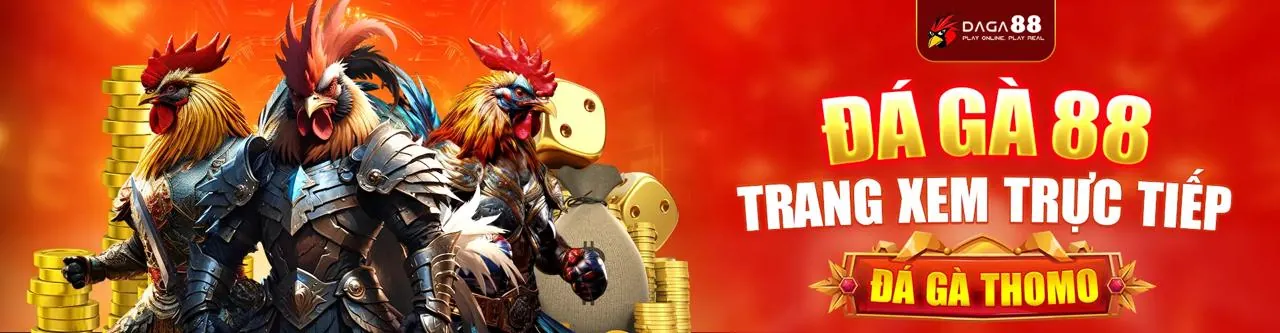 Ưu đãi khuyến mãi độc quyền tại Bigboss Chính Thức