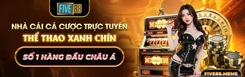 Bigboss chính thức - Lựa chọn hàng đầu